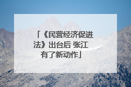 《民营经济促进法》出台后 张江有了新动作