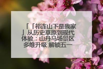 「祁连山下是我家」从历史草原到现代体验：山丹马场景区多维升级 解锁五一文旅新玩法