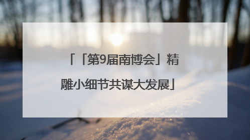 「第9届南博会」精雕小细节共谋大发展