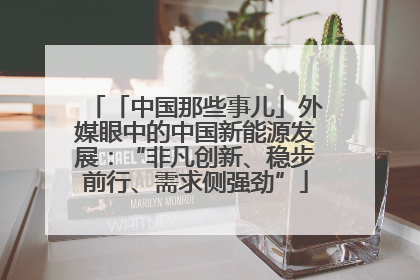 「中国那些事儿」外媒眼中的中国新能源发展：“非凡创新、稳步前行、需求侧强劲”