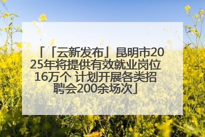 「云新发布」昆明市2025年将提供有效就业岗位16万个 计划开展各类招聘会200余场次