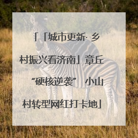 「城市更新· 乡村振兴看济南」章丘“硬核逆袭” 小山村转型网红打卡地
