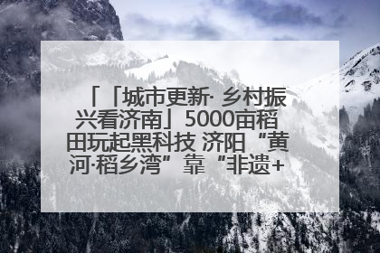 「城市更新· 乡村振兴看济南」5000亩稻田玩起黑科技 济阳“黄河·稻乡湾”靠“非遗+露营”火出圈