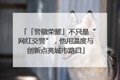 「警徽荣耀」不只是“网红交警”，他用温度与创新点亮城市路口
