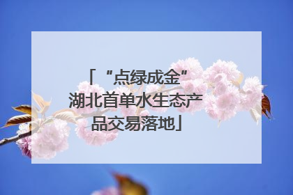 “点绿成金” 湖北首单水生态产品交易落地