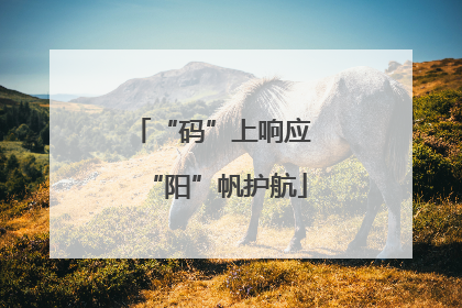 “码”上响应 “阳”帆护航