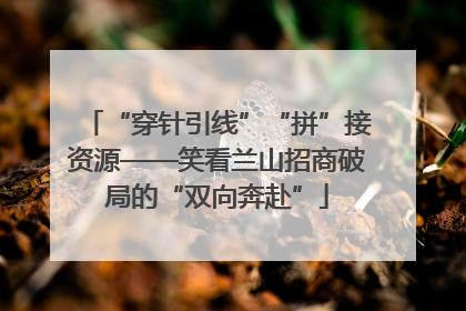 “穿针引线”“拼”接资源——笑看兰山招商破局的“双向奔赴”