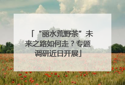 “丽水荒野茶”未来之路如何走？专题调研近日开展