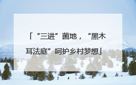 “三进”菌地，“黑木耳法庭”呵护乡村梦想