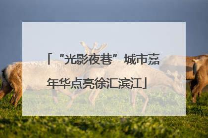 “光影夜巷”城市嘉年华点亮徐汇滨江