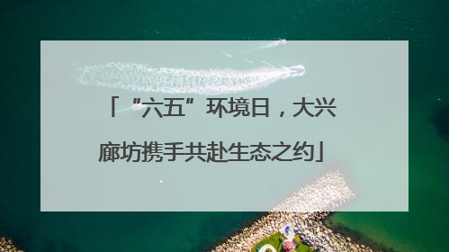“六五”环境日，大兴廊坊携手共赴生态之约