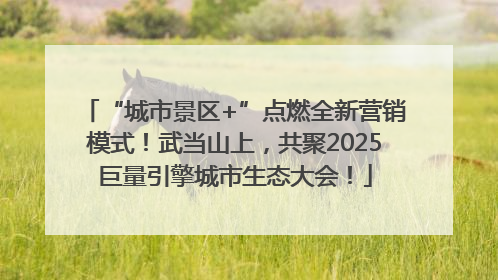 “城市景区+”点燃全新营销模式！武当山上，共聚2025巨量引擎城市生态大会！