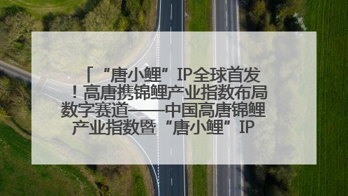 “唐小鲤”IP全球首发！高唐携锦鲤产业指数布局数字赛道——中国高唐锦鲤产业指数暨“唐小鲤”IP全球首发仪式在杭州举行