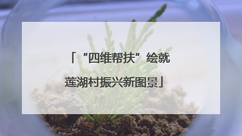 “四维帮扶”绘就莲湖村振兴新图景