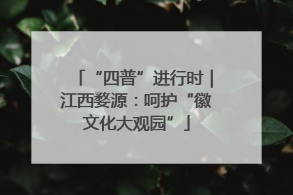 “四普”进行时｜江西婺源：呵护“徽文化大观园”