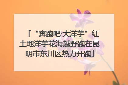 “奔跑吧·大洋芋”红土地洋芋花海越野跑在昆明市东川区热力开跑