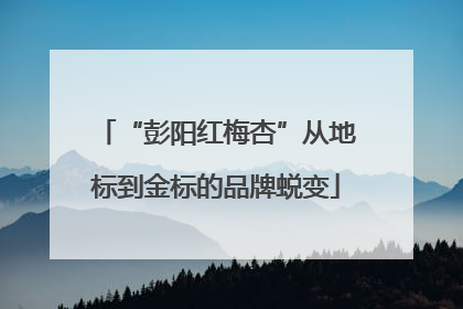 “彭阳红梅杏”从地标到金标的品牌蜕变