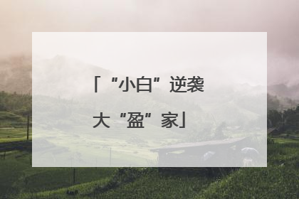“小白”逆袭大“盈”家
