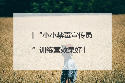 “小小禁毒宣传员”训练营效果好