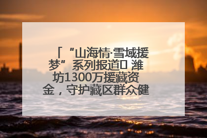 “山海情·雪域援梦”系列报道⑪ 潍坊1300万援藏资金，守护藏区群众健康“最后一公里”