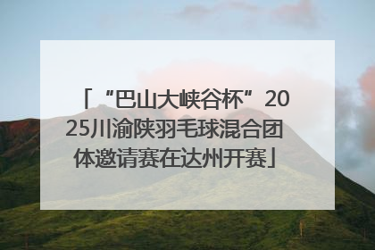 “巴山大峡谷杯”2025川渝陕羽毛球混合团体邀请赛在达州开赛