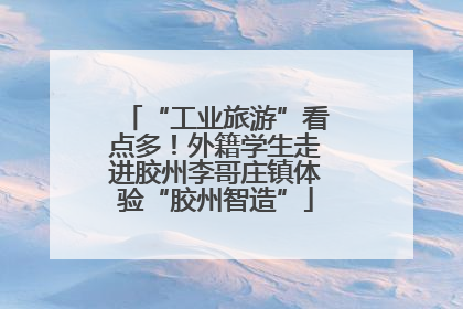 “工业旅游”看点多！外籍学生走进胶州李哥庄镇体验“胶州智造”