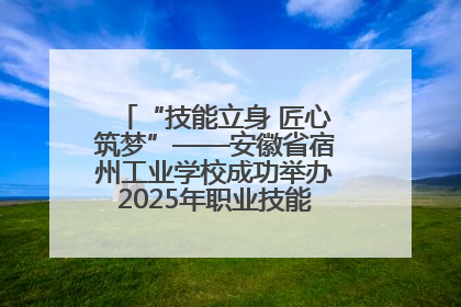 “技能立身 匠心筑梦”——安徽省宿州工业学校成功举办2025年职业技能活动周各项活动