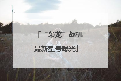 “枭龙”战机最新型号曝光