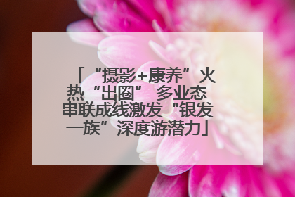 “摄影+康养”火热“出圈” 多业态串联成线激发“银发一族”深度游潜力