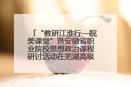 “教研江淮行—皖美课堂”暨安徽省职业院校思想政治课程研讨活动在芜湖高级职业技术学校举行