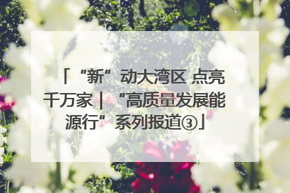 “新”动大湾区 点亮千万家｜“高质量发展能源行”系列报道③
