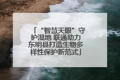 “智慧天眼”守护湿地 联通助力东明县打造生物多样性保护新范式