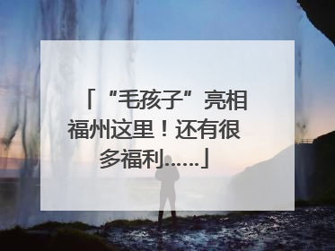 “毛孩子”亮相福州这里！还有很多福利……