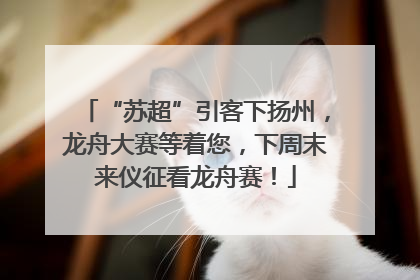 “苏超”引客下扬州，龙舟大赛等着您，下周末来仪征看龙舟赛！