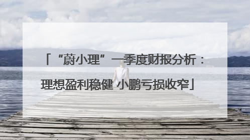 “蔚小理”一季度财报分析：理想盈利稳健 小鹏亏损收窄