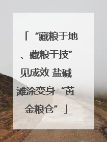 “藏粮于地、藏粮于技”见成效 盐碱滩涂变身“黄金粮仓”