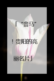 “贵马”！贵阳的亮丽名片