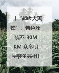 “超级大黄蜂”、特色涂装苏-30MKM 众多明星装备亮相