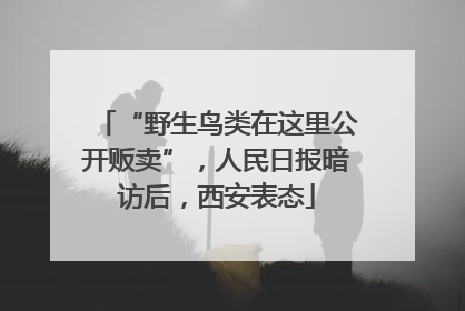 “野生鸟类在这里公开贩卖”，人民日报暗访后，西安表态