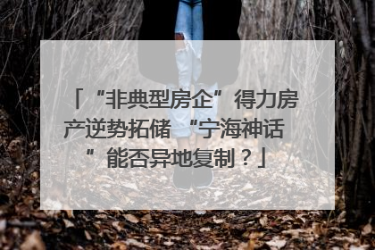“非典型房企”得力房产逆势拓储 “宁海神话”能否异地复制？