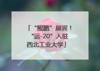 “鲲鹏”展翼！“运-20”入驻西北工业大学