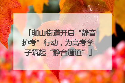 珈山街道开启“静音护考”行动，为高考学子筑起“静音通道”