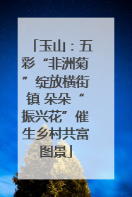 玉山：五彩“非洲菊”绽放横街镇 朵朵“振兴花”催生乡村共富图景