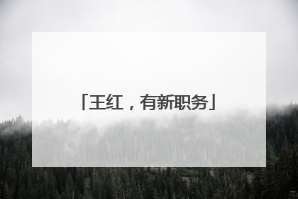 王红，有新职务