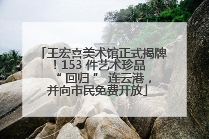 王宏喜美术馆正式揭牌！153 件艺术珍品 “ 回归 ” 连云港，并向市民免费开放