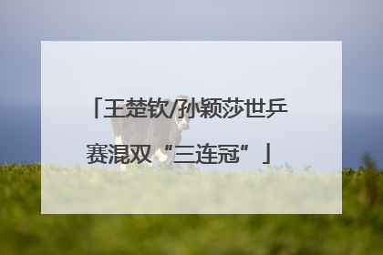 王楚钦/孙颖莎世乒赛混双“三连冠”