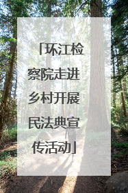 环江检察院走进乡村开展民法典宣传活动