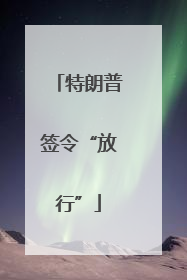 特朗普签令“放行”