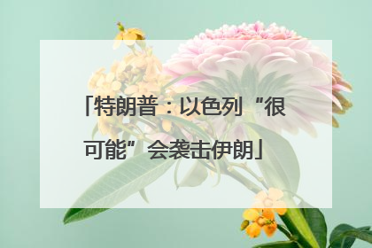特朗普：以色列“很可能”会袭击伊朗