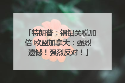 特朗普：钢铝关税加倍 欧盟加拿大：强烈遗憾！强烈反对！